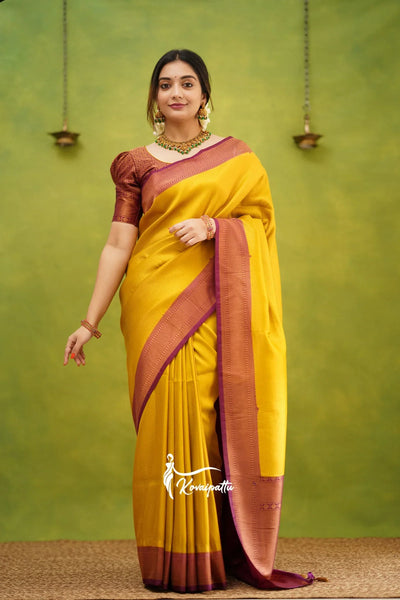 Designer Saree, Silk Saree, Cotton Saree, Chiffon Saree, Georgette Saree, Banarasi Saree, Bridal Saree, Kanchipuram Saree, Paithani Saree, Linen Saree, Trendy Saree, Digital Print Saree, Party Wear Saree,  Daily Wear Saree, Bollywood Style Saree, Traditional Saree, Ethnic Saree, Saree Collection, Draped Saree, Saree Combo Offers, Saree Sale, Saree For Women, Latest Design, Flipkart, Amazon, Ajio, Myntra, Meesho