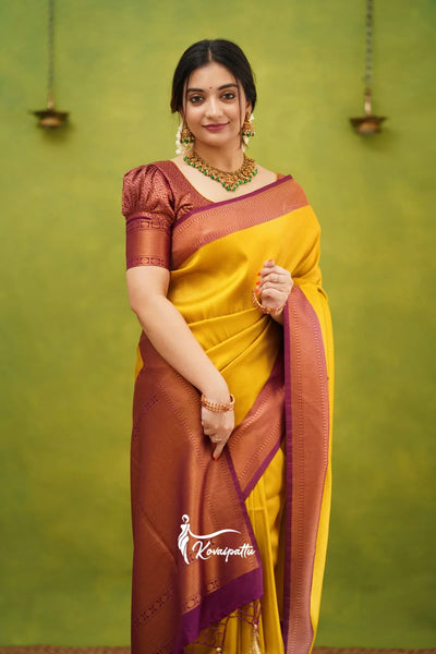 Designer Saree, Silk Saree, Cotton Saree, Chiffon Saree, Georgette Saree, Banarasi Saree, Bridal Saree, Kanchipuram Saree, Paithani Saree, Linen Saree, Trendy Saree, Digital Print Saree, Party Wear Saree,  Daily Wear Saree, Bollywood Style Saree, Traditional Saree, Ethnic Saree, Saree Collection, Draped Saree, Saree Combo Offers, Saree Sale, Saree For Women, Latest Design, Flipkart, Amazon, Ajio, Myntra, Meesho