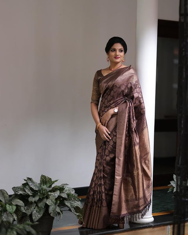 Brown Pure Kanjivaram Silk With Confounding Blouse Piece - Almaari Fashion