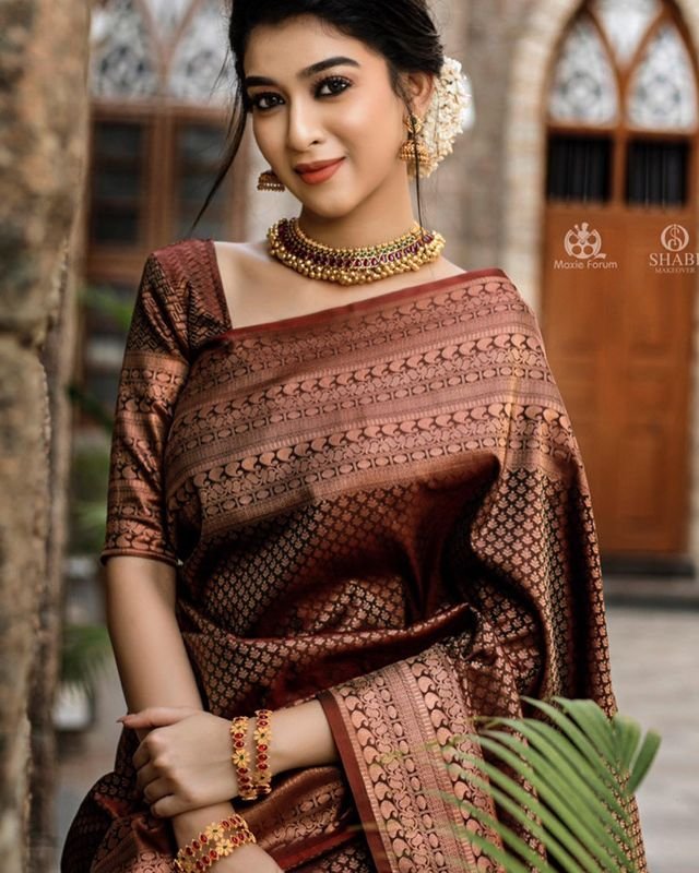 Brown Pure Kanjivaram Silk With Confounding Blouse Piece - Almaari Fashion