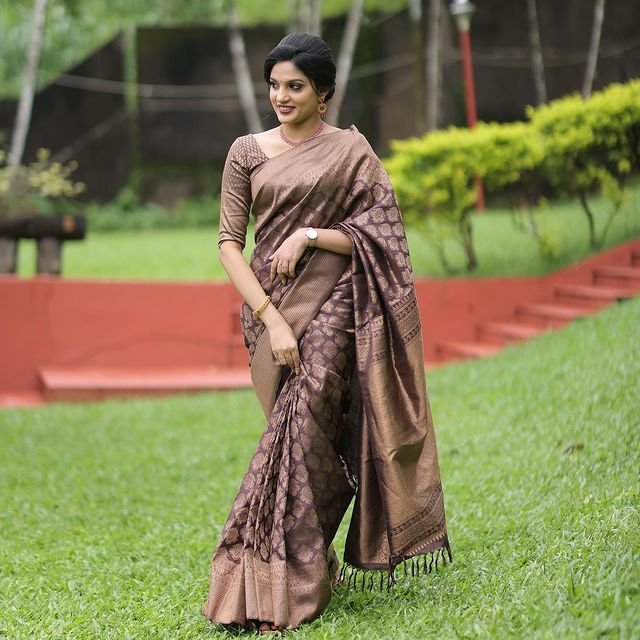 Brown Pure Kanjivaram Silk With Confounding Blouse Piece - Almaari Fashion