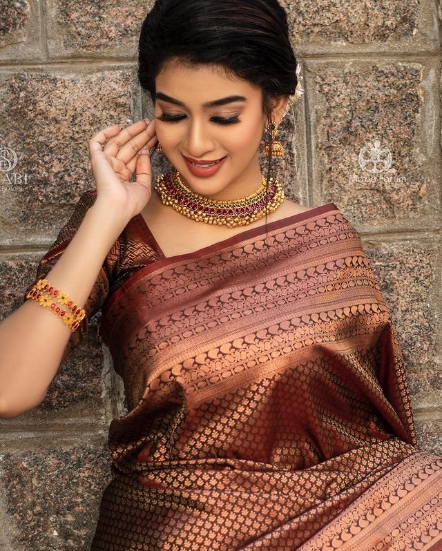 Brown Pure Kanjivaram Silk With Confounding Blouse Piece - Almaari Fashion