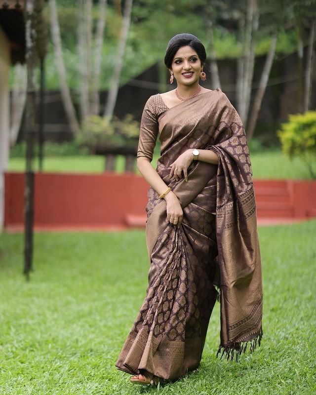 Brown Pure Kanjivaram Silk With Confounding Blouse Piece - Almaari Fashion