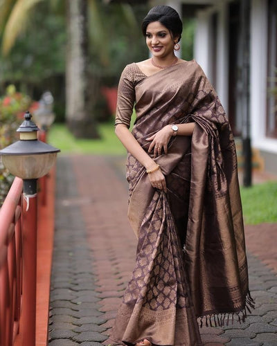 Brown Pure Kanjivaram Silk With Confounding Blouse Piece - Almaari Fashion