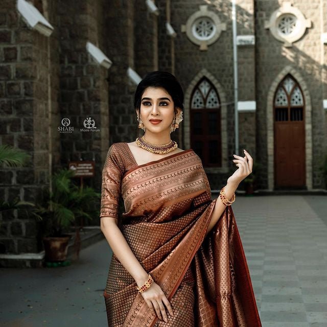 Brown Pure Pure Banarasi Silk With Confounding Blouse Piece - Almaari Fashion