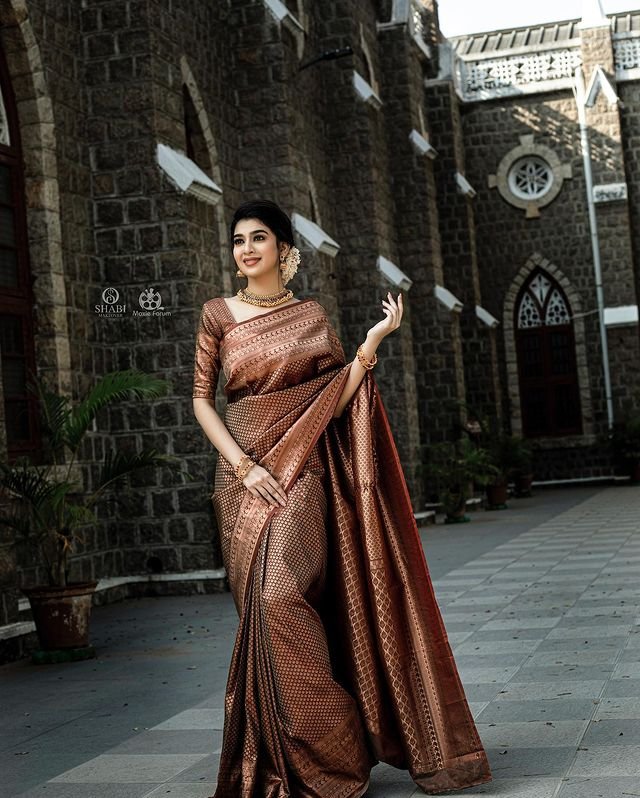 Brown Pure Pure Banarasi Silk With Confounding Blouse Piece - Almaari Fashion