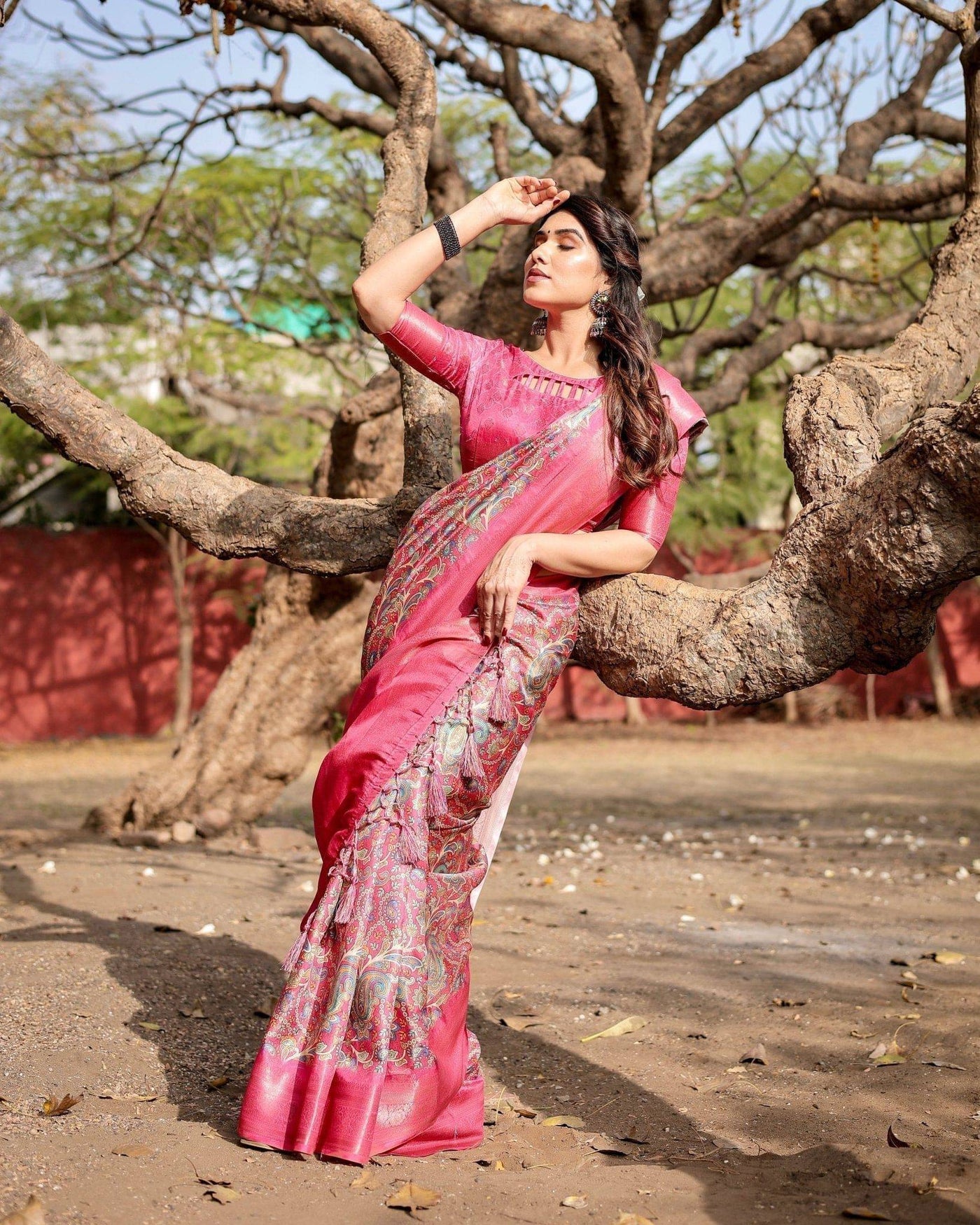 Pure Banarasi Silk Saree Weaved With Golden Zari Comes With Tassels