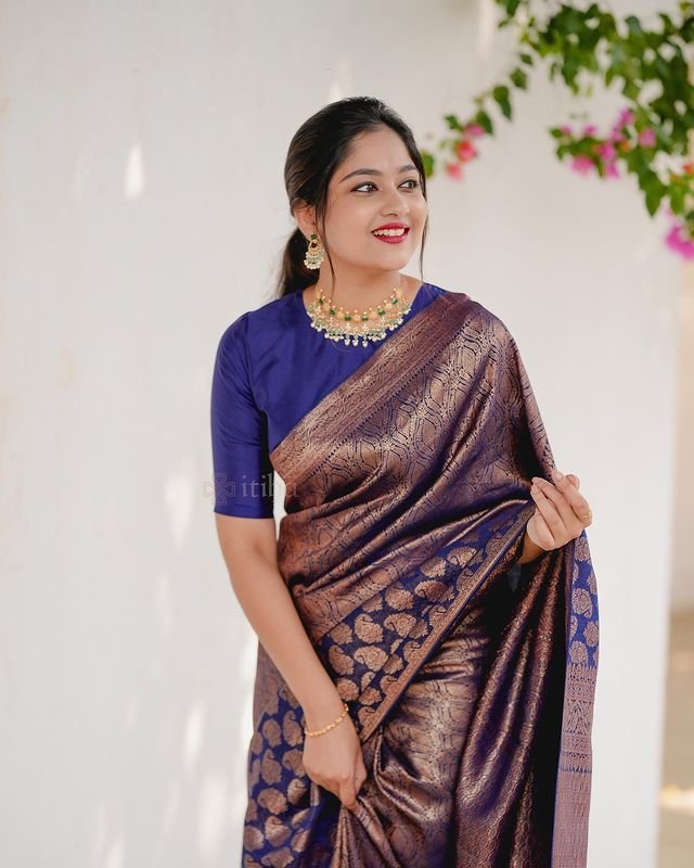 Navy Blue Pure Banarasi Silk Saree Stylish Blouse Piece - Almaari Fashion