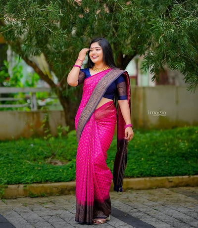 Pink & Blue Pure Pure Banarasi Silk With Attractive Blouse Piece - Almaari Fashion