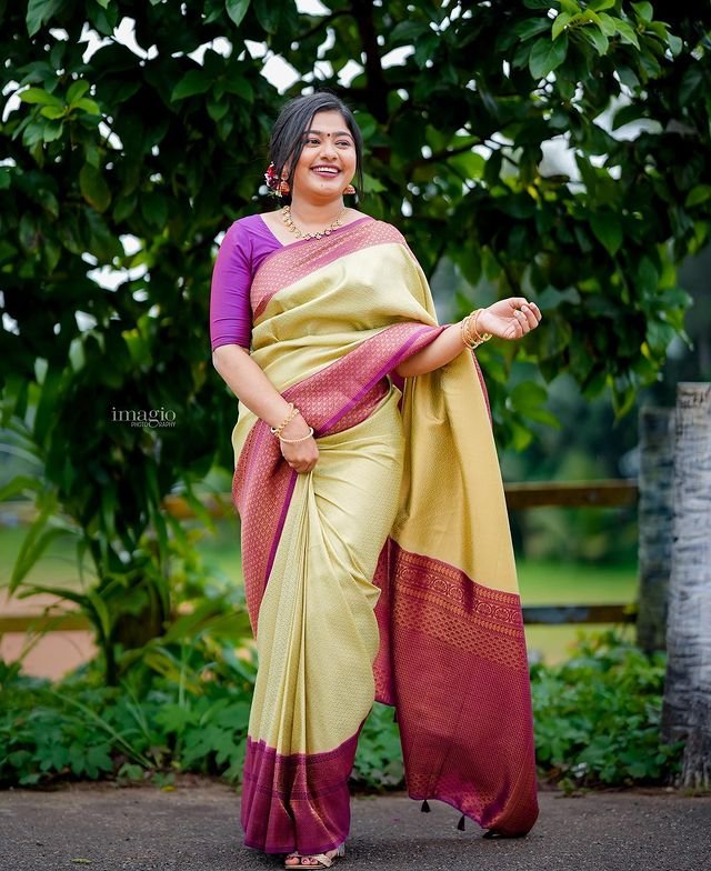 Sea Green Pure Kanjivaram Silk With Attractive Blouse Piece - Almaari Fashion