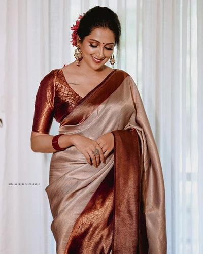 Symmetrical Grey Pure Kanjivaram Silk With Engrossing Blouse Piece - Almaari Fashion