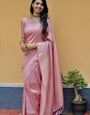 Symmetrical Peach Pure Kanjivaram Silk With Engrossing Blouse Piece